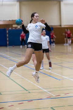 Bild 190 - F TSV Ellerau - HSG Tills Loewen 08 : Ergebnis: 16:18